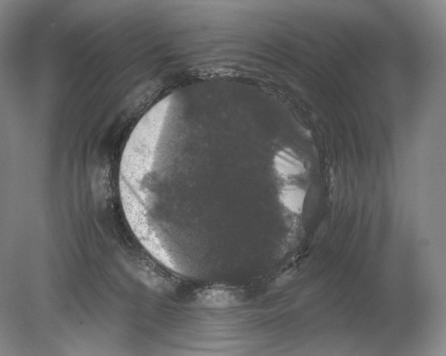 X0000078860224200612111656