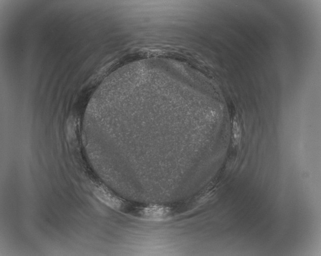 X0000078860225200612111656