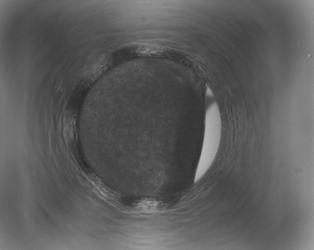 X0000078860227200612111656