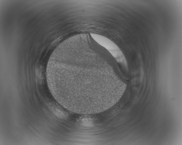 X0000078860228200612111656