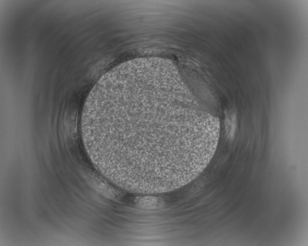 X0000078860230200612111656