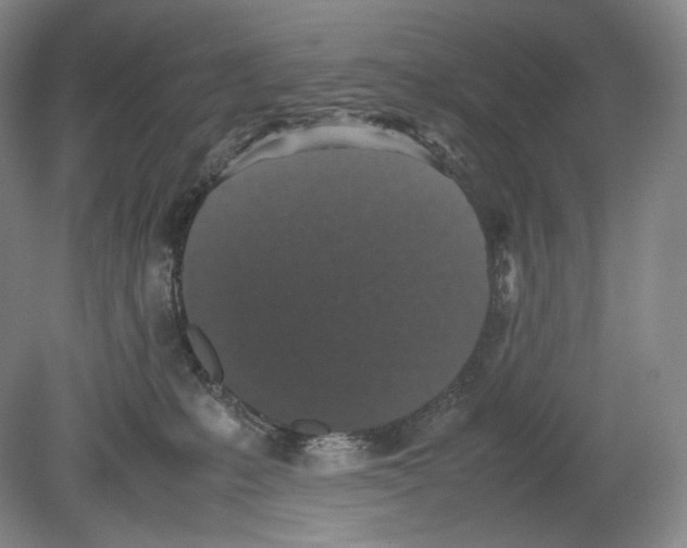 X0000078860231200612111656