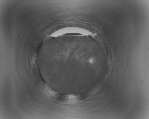 X0000078860233200612111656
