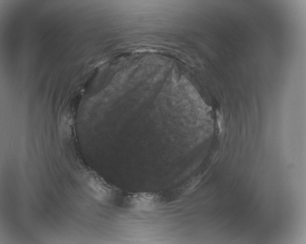 X0000078860235200612111656