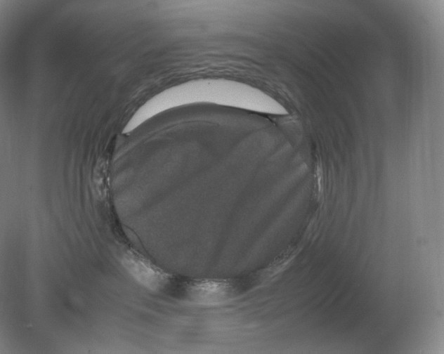 X0000078860237200612111656