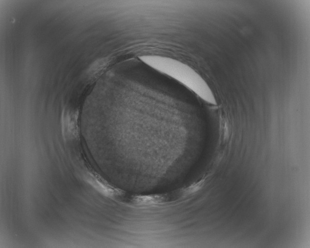 X0000078860239200612111655