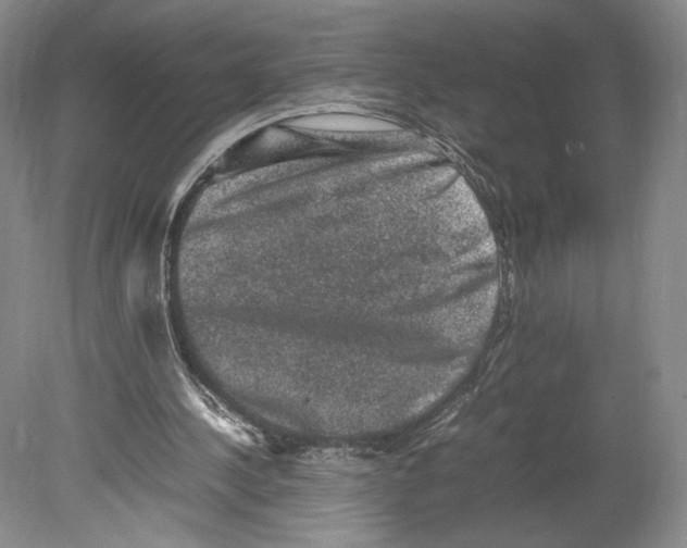 X0000078860244200612111655