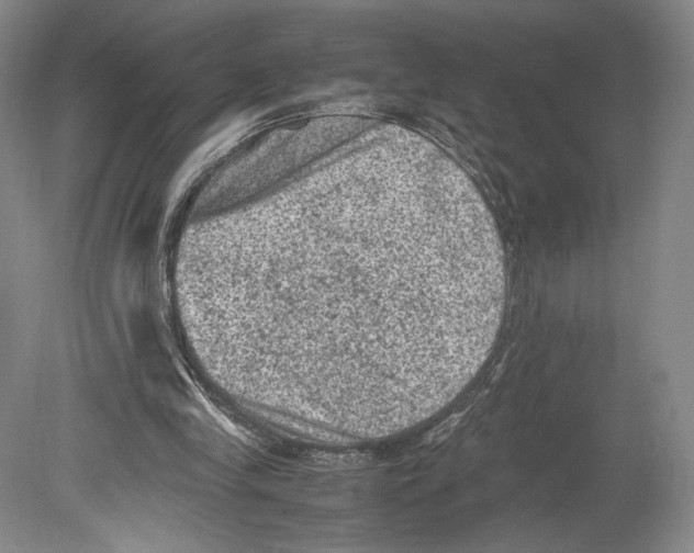 X0000078860245200612111655