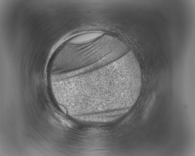 X0000078860246200612111655