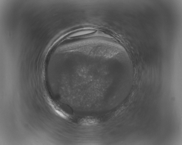 X0000078860247200612111655