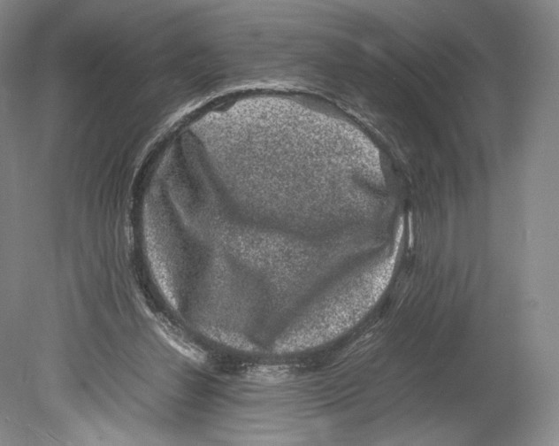 X0000078860252200612111655