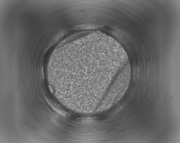 X0000078860254200612111655
