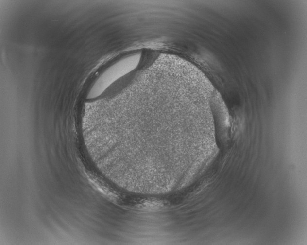 X0000078860256200612111655