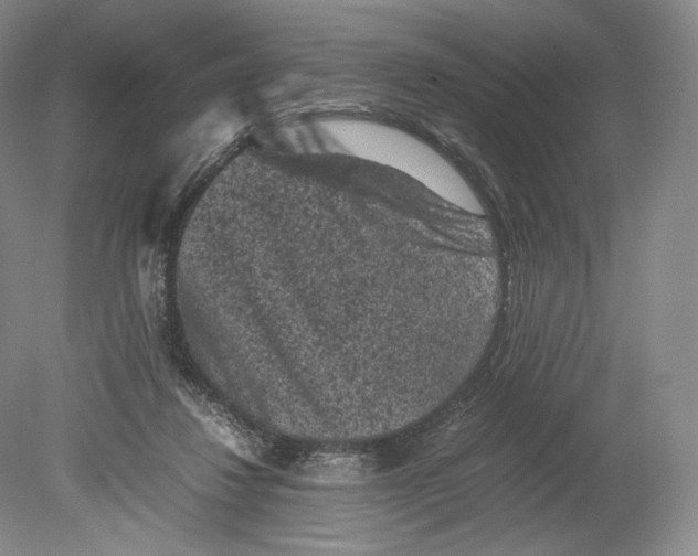 X0000078860260200612111655