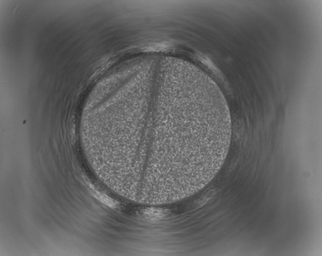 X0000078860261200612111655