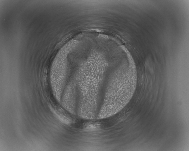 X0000078860263200612111655