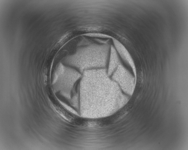 X0000078860264200612111655
