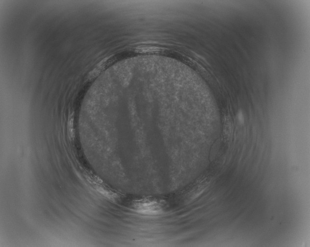 X0000078860267200612111655