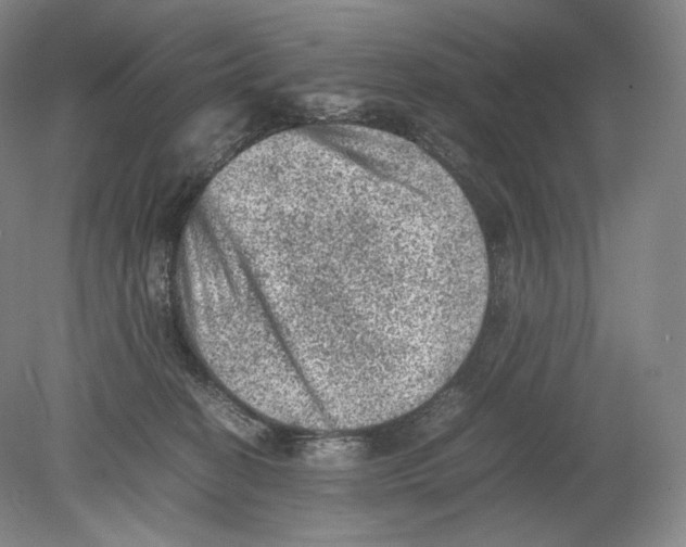 X0000078860274200612111655