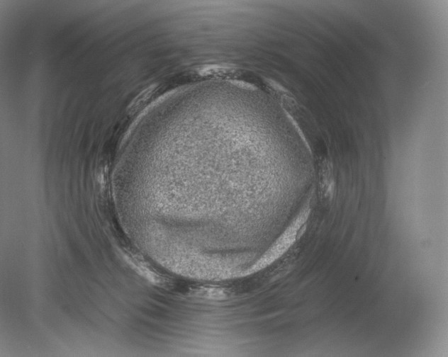 X0000078860276200612111655