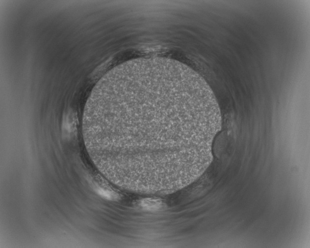 X0000078860279200612111655