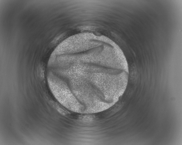 X0000078860282200612111655