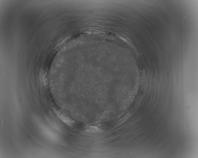 X0000078860285200612111655
