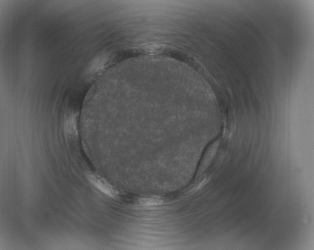 X0000078860286200612111655