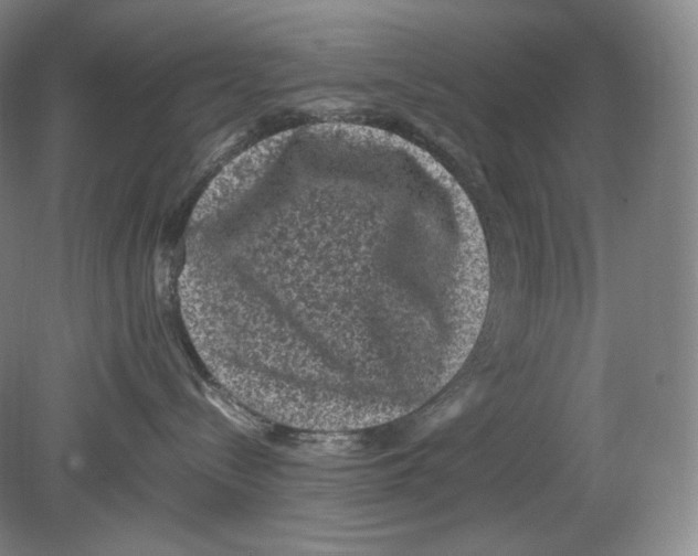 X0000078860288200612111655