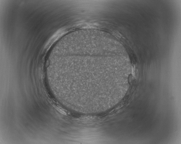 X0000078860291200612111655