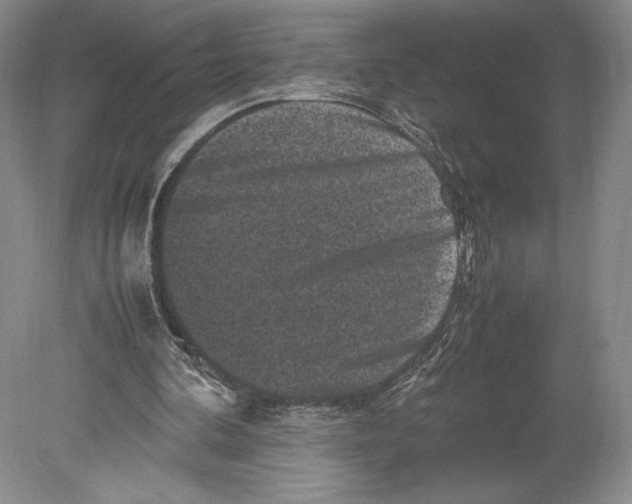 X0000078860292200612111655