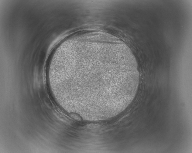 X0000078860294200612111655