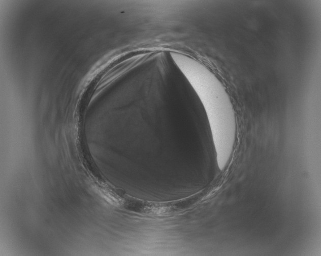 X0000078860295200612111655