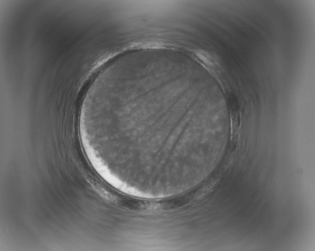 X0000078860301200612111654