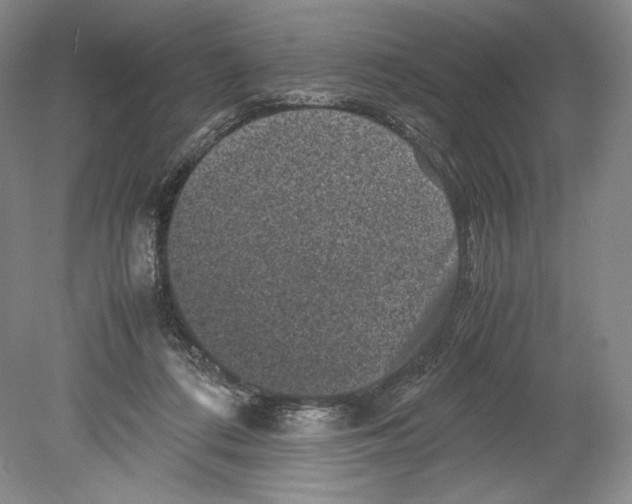 X0000078860312200612111654