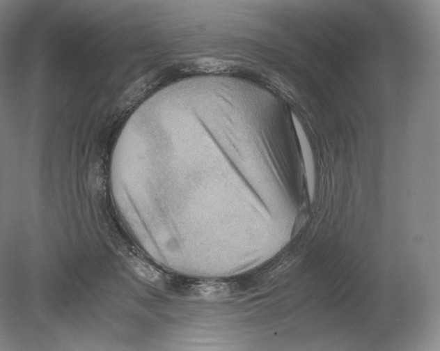 X0000078860317200612111654