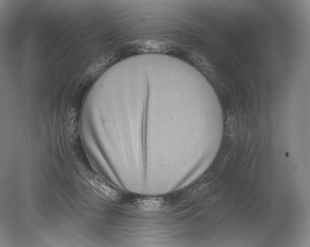 X0000078860318200612111654