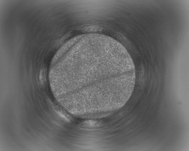 X0000078860326200612111654