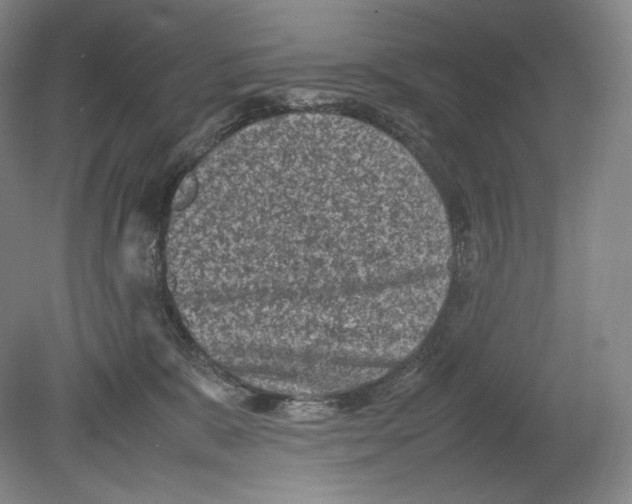 X0000078860327200612111654