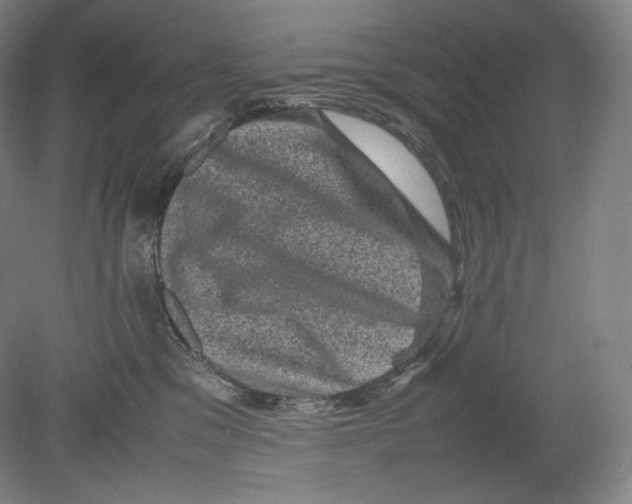 X0000078860329200612111654