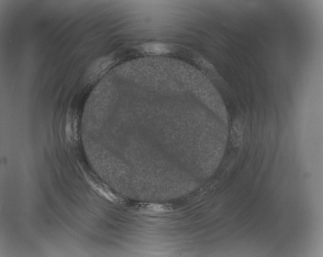 X0000078860330200612111654
