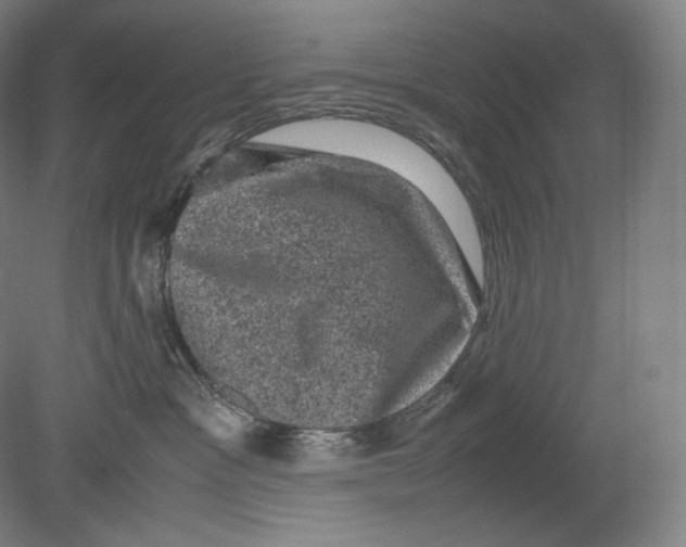 X0000078860333200612111654