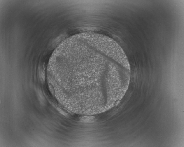 X0000078860334200612111654