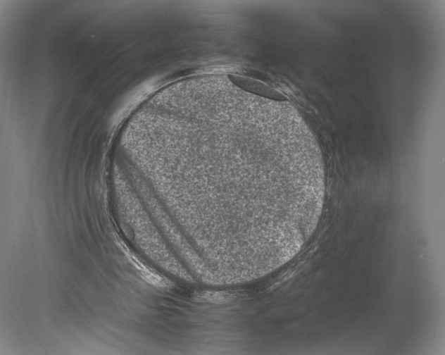 X0000078860341200612111653