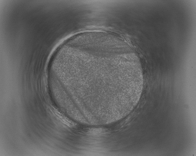 X0000078860342200612111653