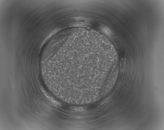 X0000078860349200612111653