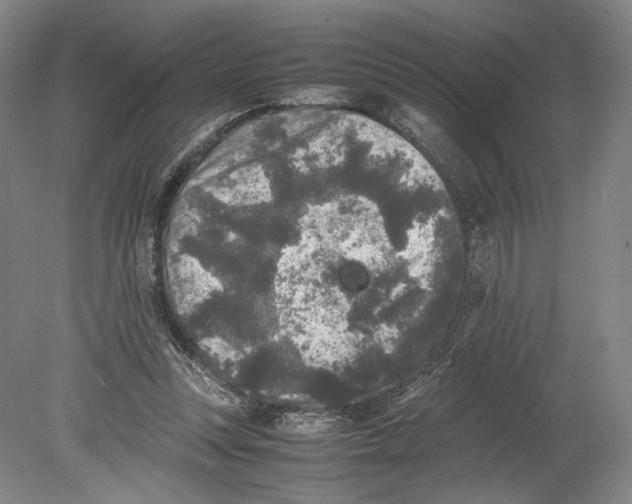 X0000078860351200612111653