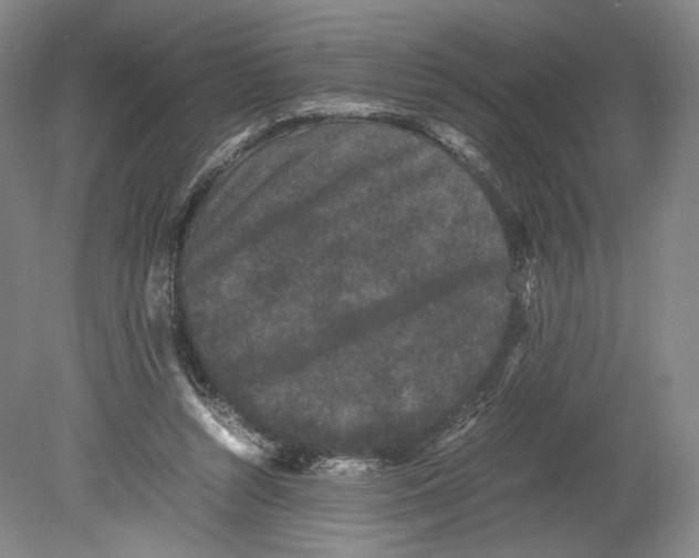 X0000078860352200612111653