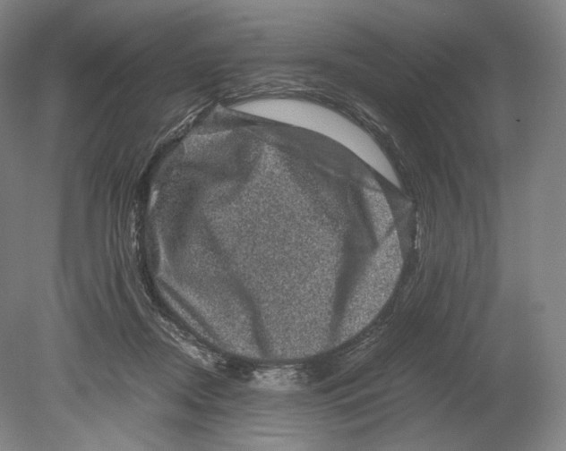 X0000078860362200612111653