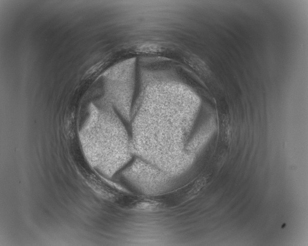 X0000078860364200612111654